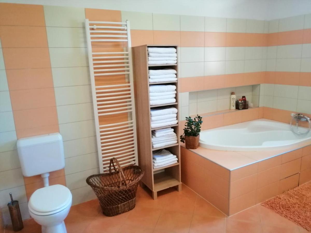 Vizaknai Apartmanhaz Székesfehérvár Екстериор снимка