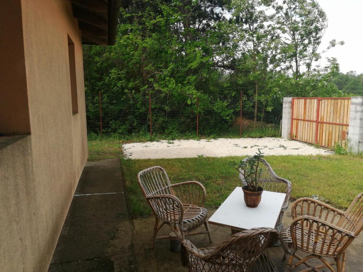 Vizaknai Apartmanhaz Székesfehérvár Екстериор снимка