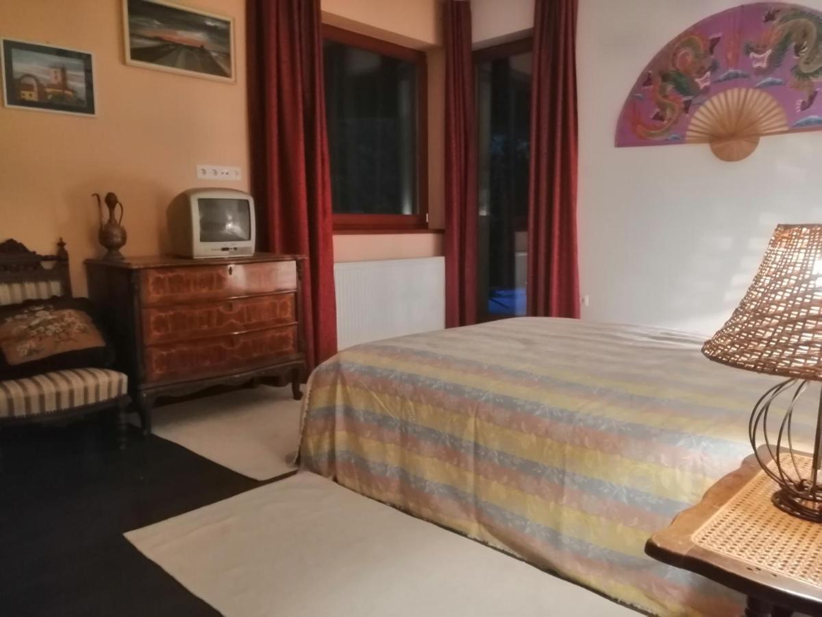 Vizaknai Apartmanhaz Székesfehérvár Екстериор снимка